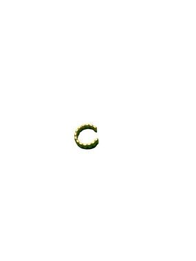 Gold Plated Nose Ring